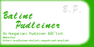 balint pudleiner business card